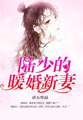 陆少的暖婚新妻